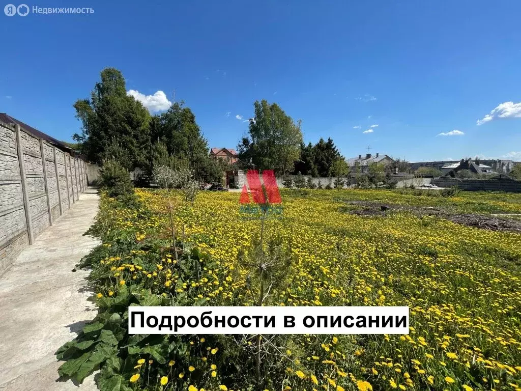 Участок в Ярославский муниципальный округ, деревня Кузнечиха ... - Фото 0