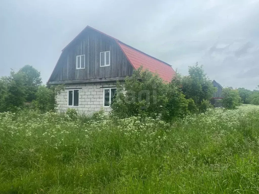 Участок в Псковская область, Гдов городское поселение, д. Луневщина  ... - Фото 0