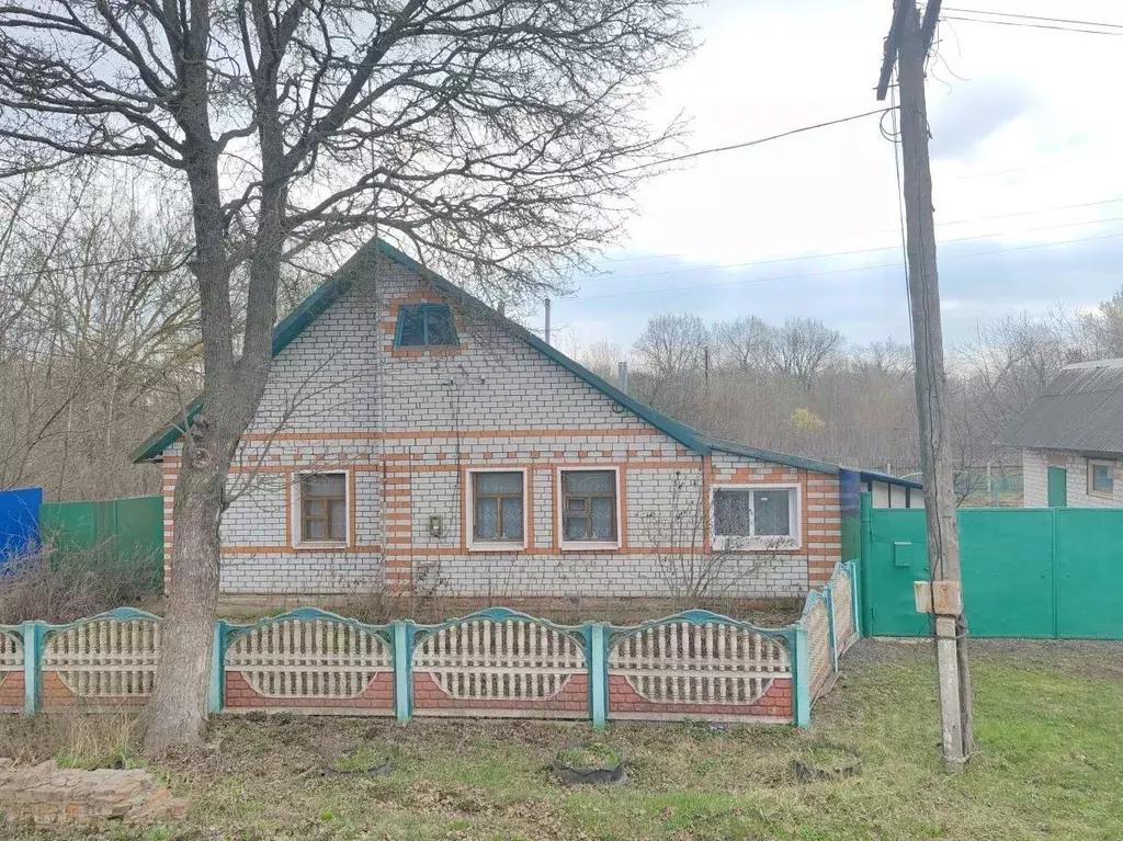 Дом в Курская область, Конышевка рп ул. Татаринова, 48 (74 м) - Фото 1