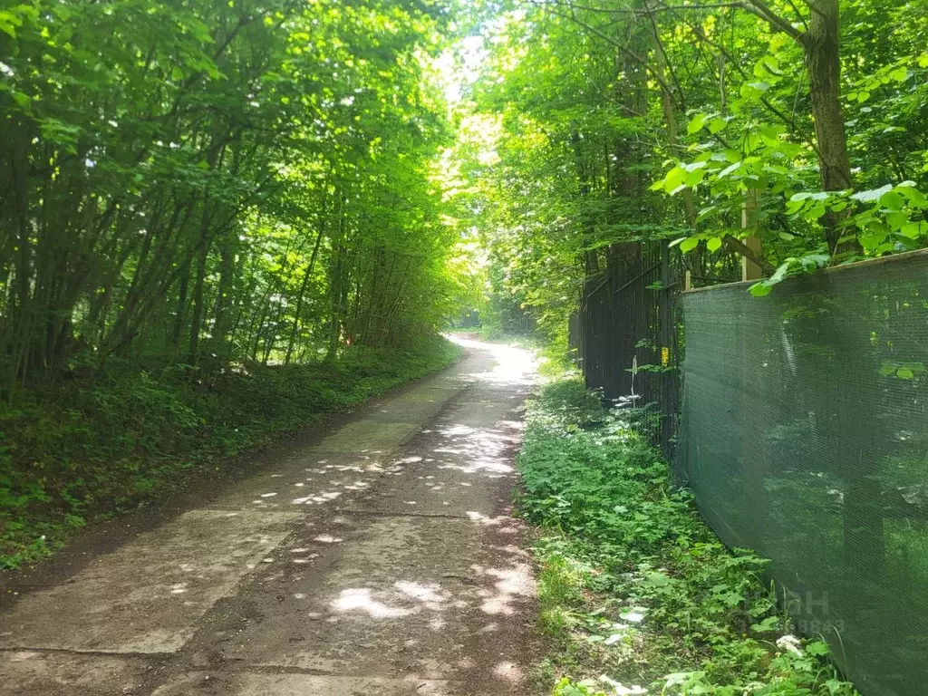 Участок в Московская область, Звенигород Одинцовский городской округ, ... - Фото 2