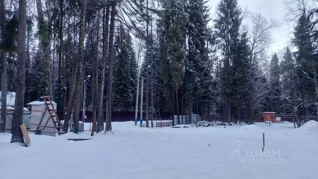 Участок в Московская область, Сергиево-Посадский городской округ, с. ... - Фото 1