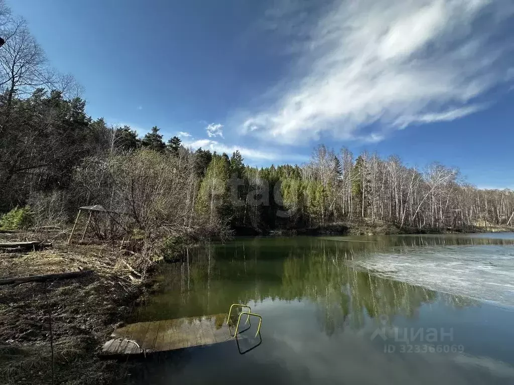 Участок в Новосибирская область, Искитимский район, Морозовский ... - Фото 1