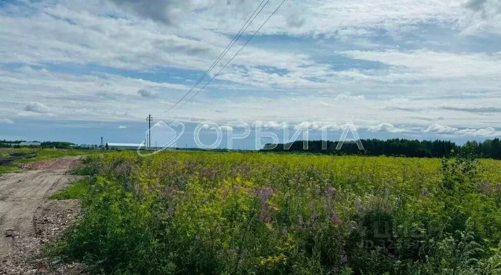 Участок в Тюменская область, Тюменский муниципальный округ, с. ... - Фото 2