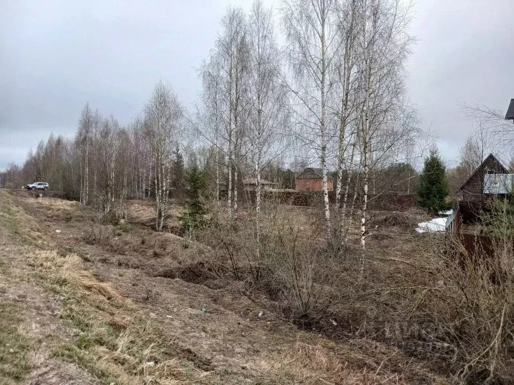 Участок в Московская область, Клин городской округ, д. Мисирево  (15.6 ... - Фото 2