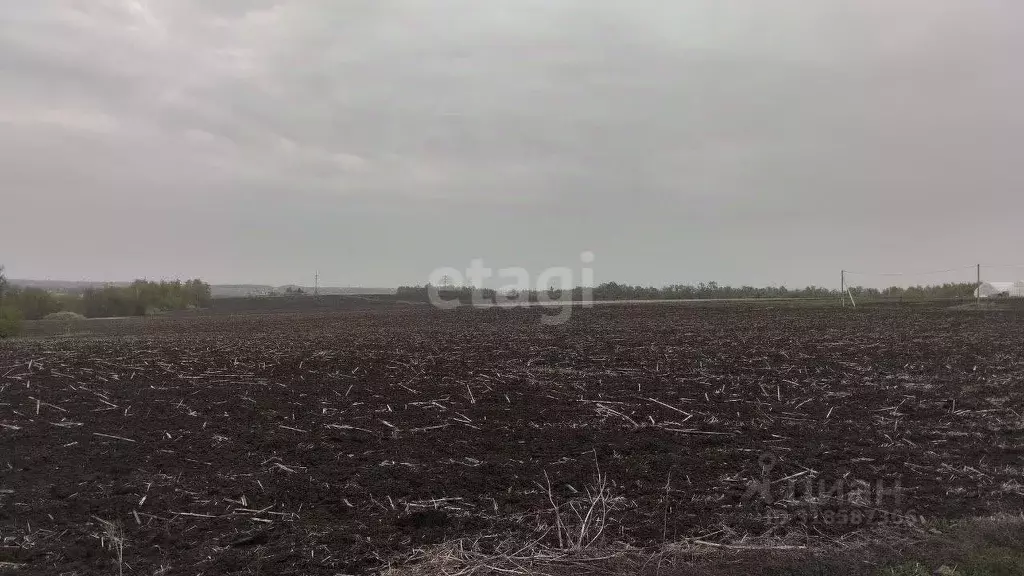 Участок в Белгородская область, Белгородский район, Дубовское с/пос, ... - Фото 0