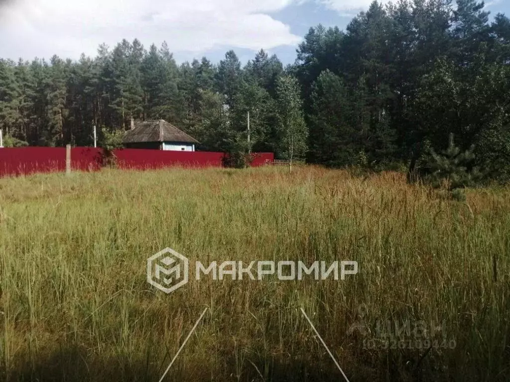 Участок в Брянская область, Выгоничский район, Хутор-Борское с/пос, ... - Фото 2