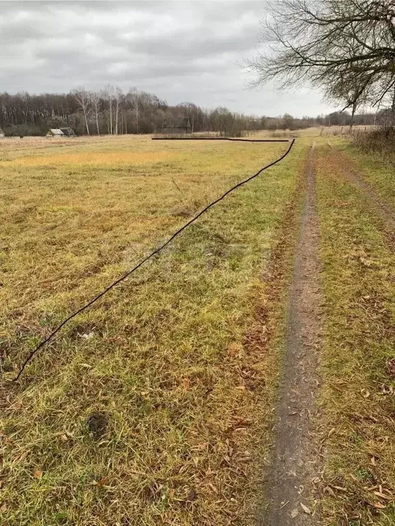 Участок в Брянская область, Жуковский муниципальный округ, д. ... - Фото 2