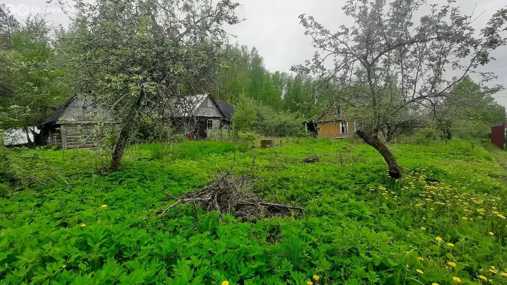 Участок в Мгинское городское поселение, садоводческий массив Апраксин, ... - Фото 0