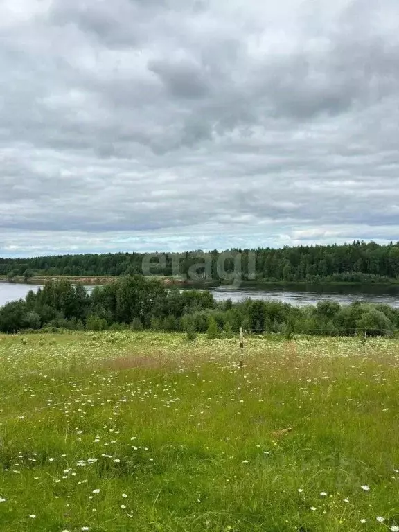 Участок в Коми, Корткеросский район, Додзь муниципальное образование, ... - Фото 1