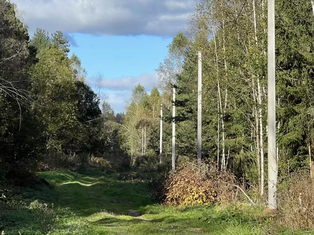 Участок в Владимирская область, Александровский муниципальный округ, ... - Фото 1