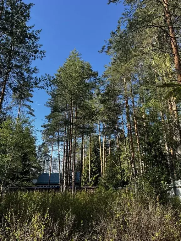 Участок в Санкт-Петербург пос. Репино, Финляндская ул., 3В (13.0 сот.) - Фото 0