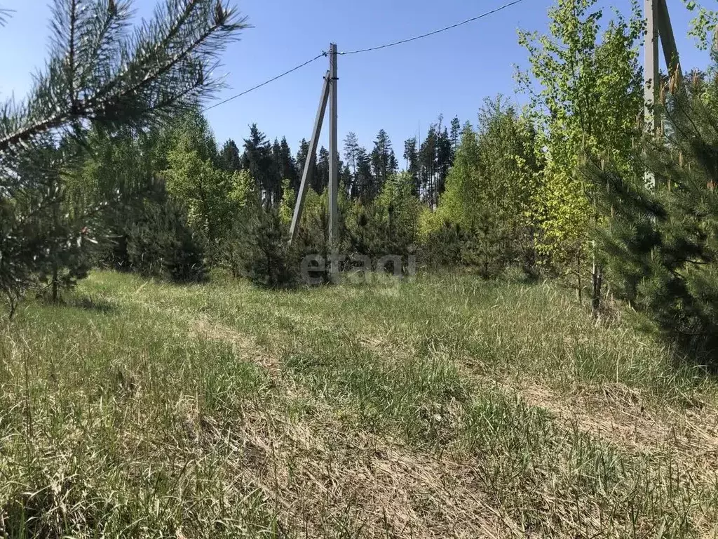 Участок в Тамбовская область, Тамбовский муниципальный округ, Луговое ... - Фото 1