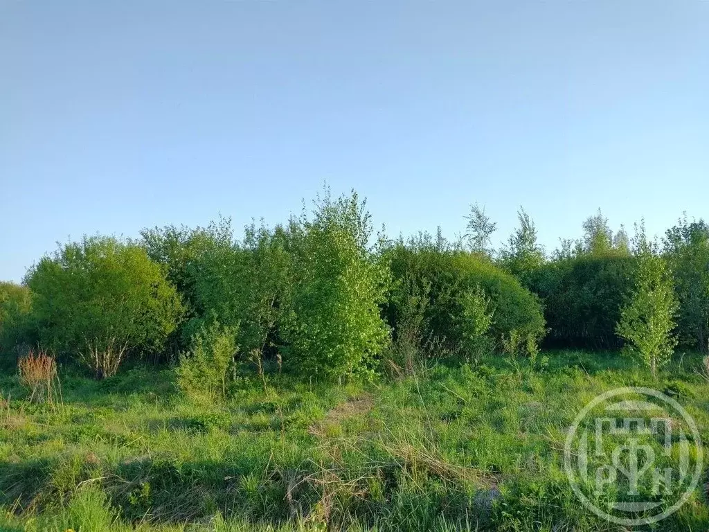 Участок в Ленинградская область, Выборгский район, Рощинское городское ... - Фото 2