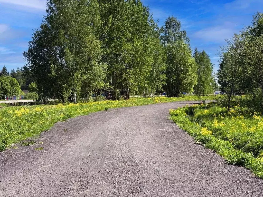 Участок в Московская область, Клин городской округ, Коськово кп 93 ... - Фото 1