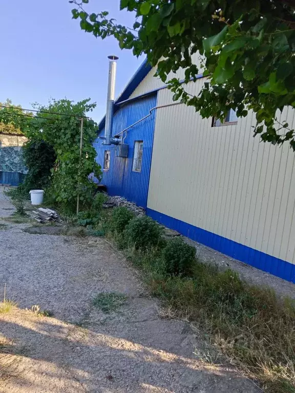 Дом в Волгоградская область, Светлый Яр рп пер. Совхозный (74 м) - Фото 2