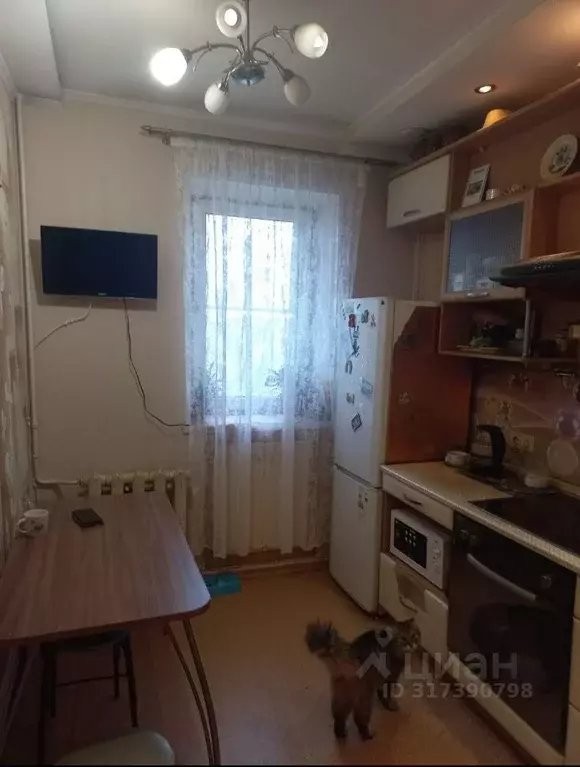 3-к кв. Коми, Сыктывкар ул. Морозова, 113 (51.2 м) - Фото 0