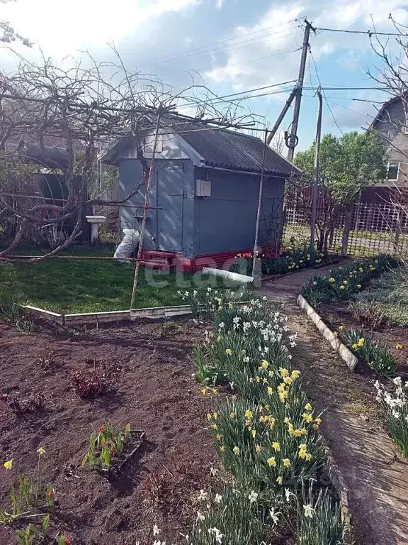 Участок в Ставропольский край, Ставрополь Успех садовое товарищество, ... - Фото 1
