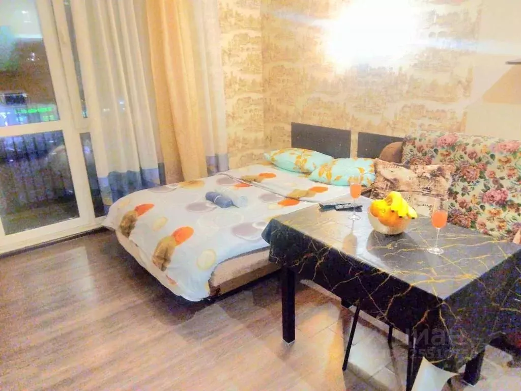 1-к кв. Московская область, Щелково Финский мкр, 2 (25.0 м) - Фото 2