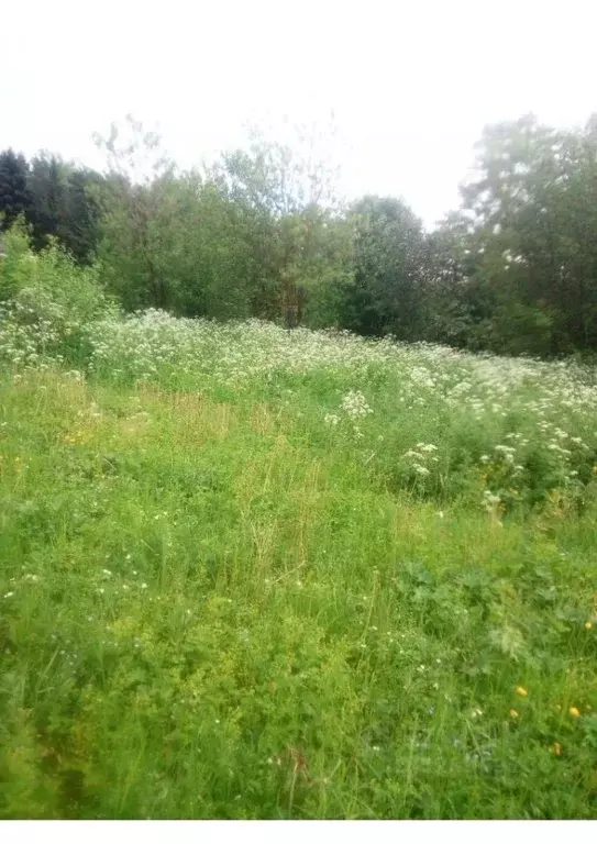 Участок в Удмуртия, Балезинский район, пос. Балезино Сибирская ул., 4 ... - Фото 2