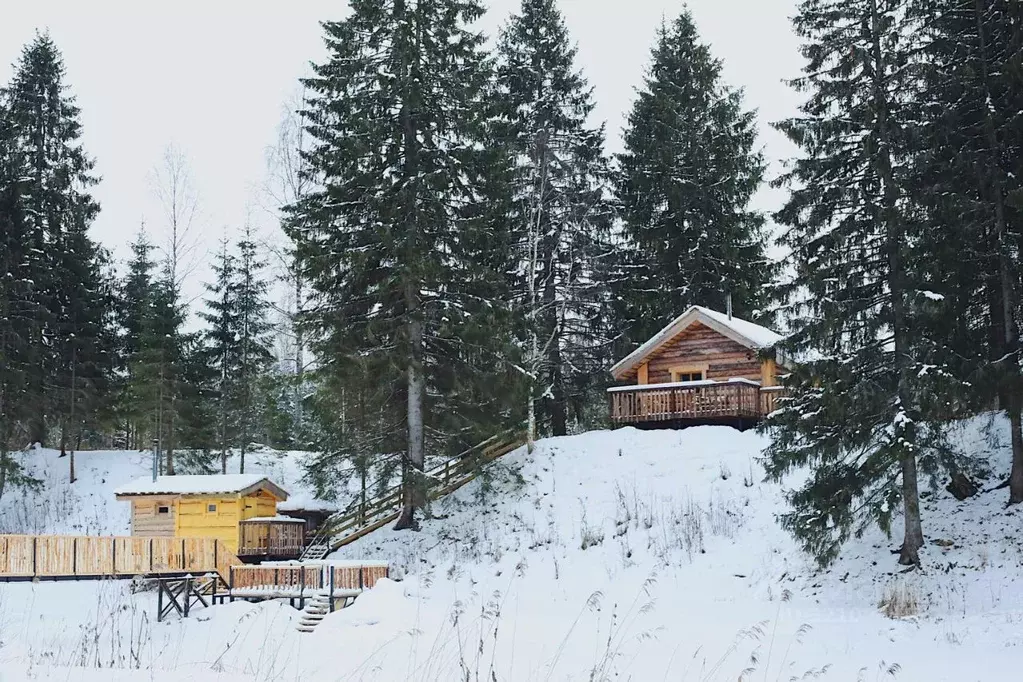 Дом в Ленинградская область, Волосовский район, Рабитицкое с/пос, д. ... - Фото 2