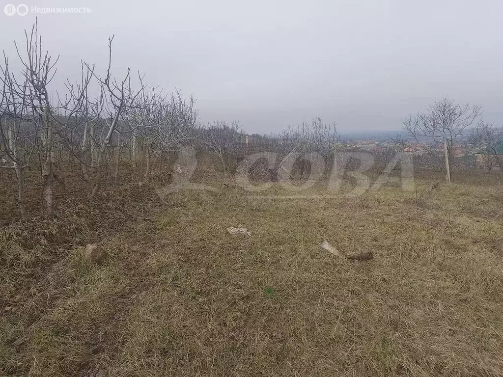 Участок в Дербентский район, сельское поселение Сабнова, село Сабнова ... - Фото 1