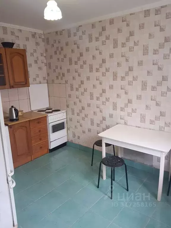 1-к кв. Краснодарский край, Новороссийск Цемдолина тер., ул. Свободы, ... - Фото 1