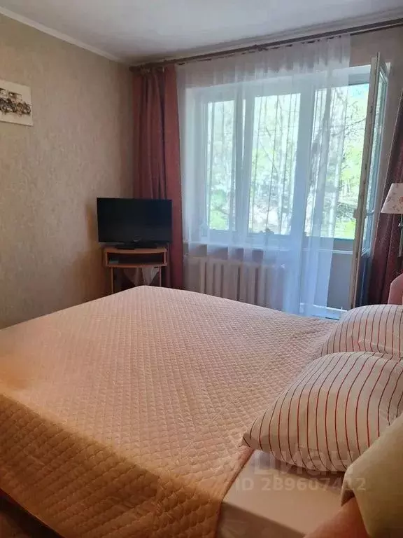 1-к кв. Севастополь ул. Гоголя, 35Б (31.0 м) - Фото 1