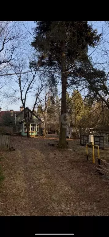 Дом в Санкт-Петербург Поселок Лисий НОС, ул. Морская, 6А (126 м) - Фото 1
