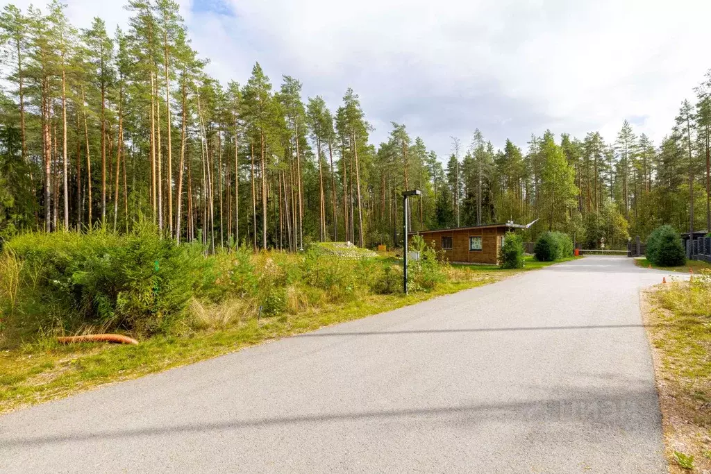 Участок в Ленинградская область, Выборгский район, Первомайское с/пос, ... - Фото 2