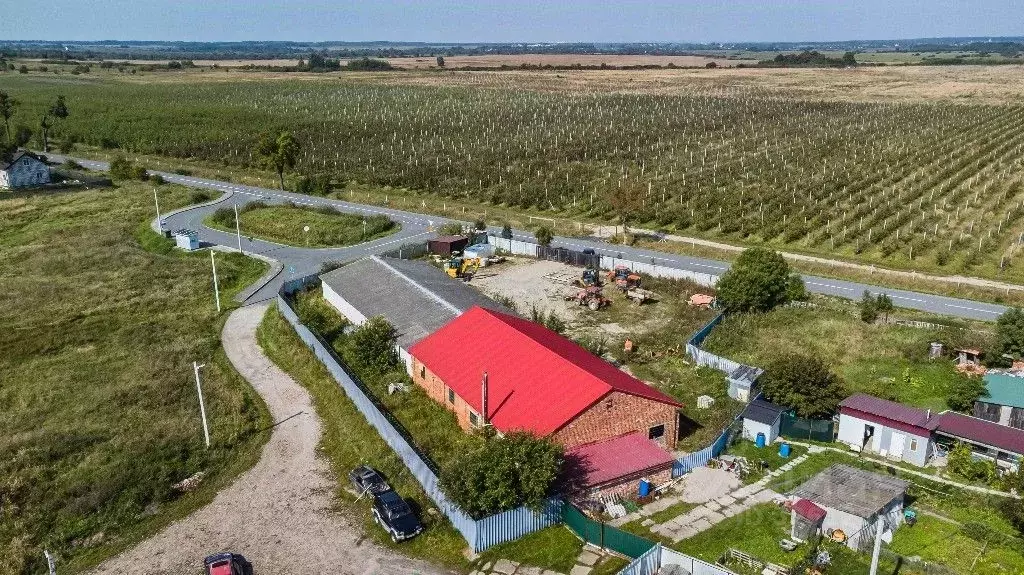 Склад в Калининградская область, Багратионовский муниципальный округ, ... - Фото 2
