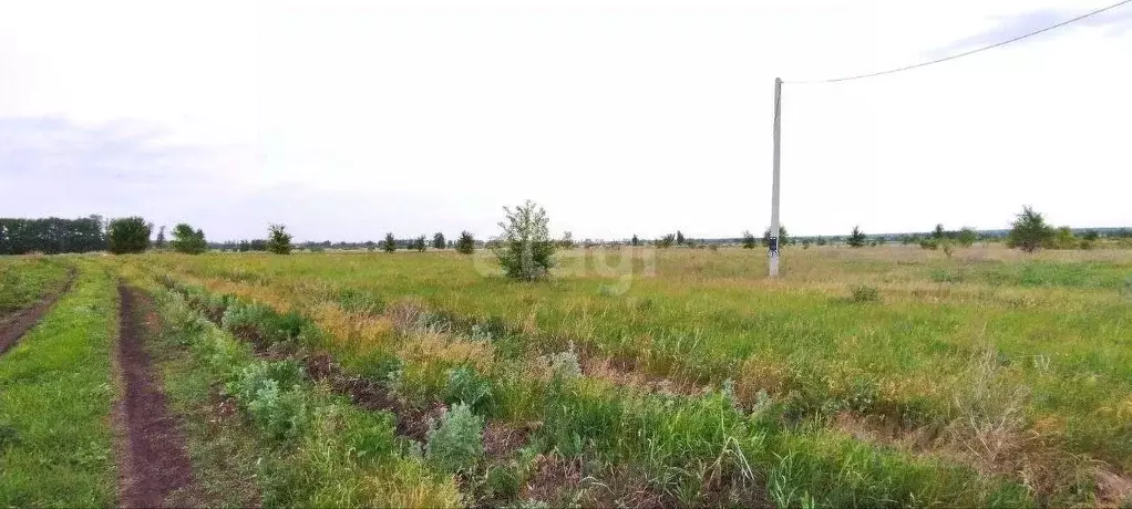 Участок в Воронежская область, Новоусманский район, Усманское 1-е ... - Фото 1