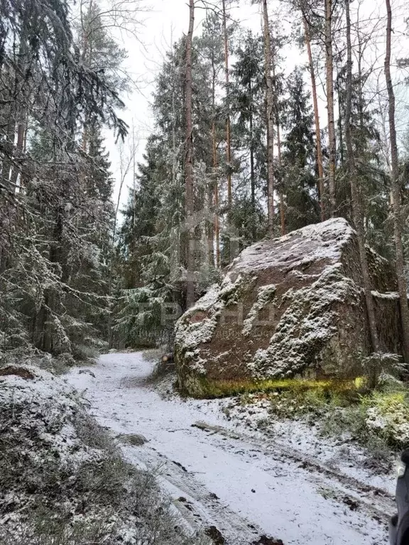 Участок в Ленинградская область, Выборг ул. 2-я Рыбацкая (12.0 сот.) - Фото 0