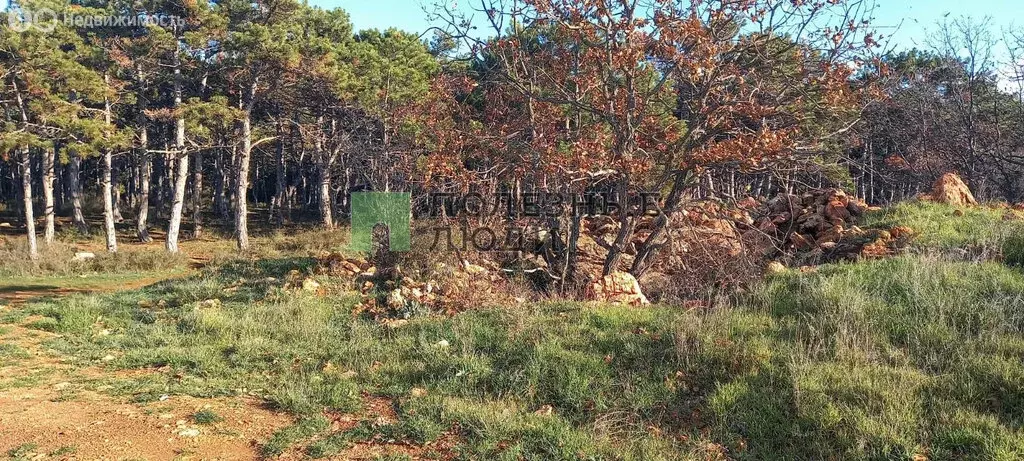 Участок в Севастополь, Гагаринский муниципальный округ (4.02 м) - Фото 1