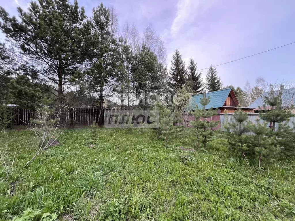 Участок 10,6 сот. (СНТ, ДНП) - Фото 1