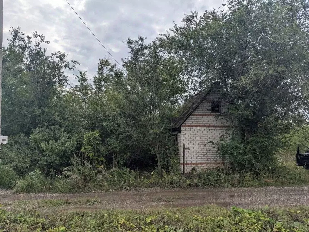Участок в Саратовская область, Балаково Сельский Строитель СТ, 13-й ... - Фото 1