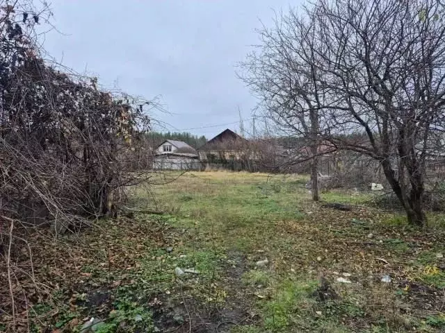 Участок в Воронежская область, Новоусманский район, пос. Воля Логовая ... - Фото 2