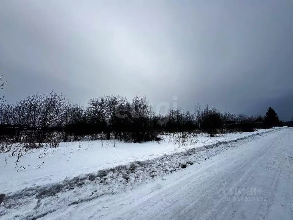 Участок в Свердловская область, Тугулымский муниципальный округ, с. ... - Фото 1