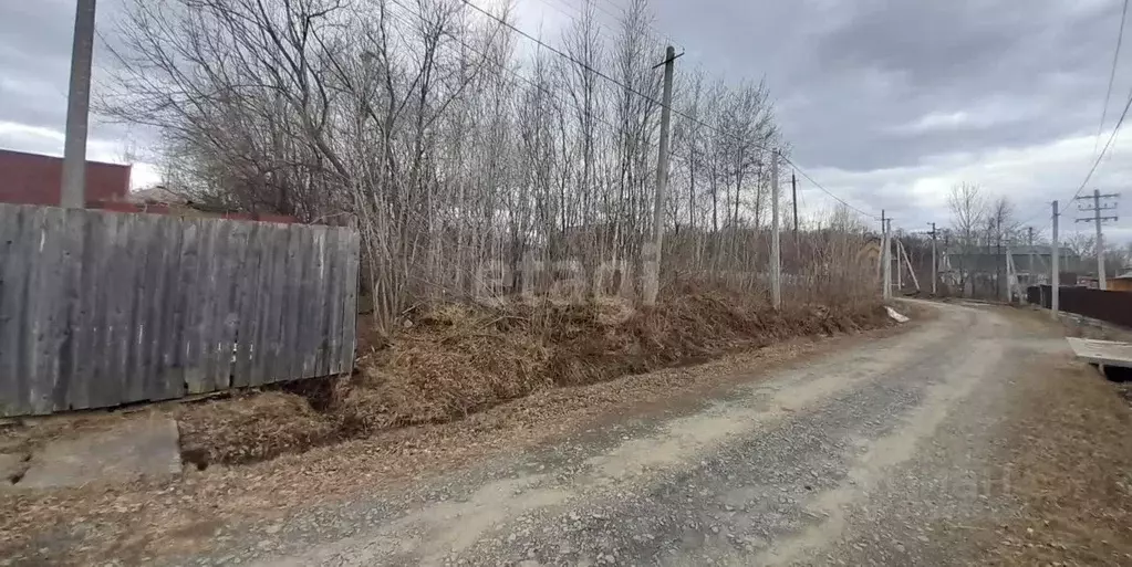 Участок в Хабаровский край, Хабаровский район, с. Ракитное ул. ... - Фото 2