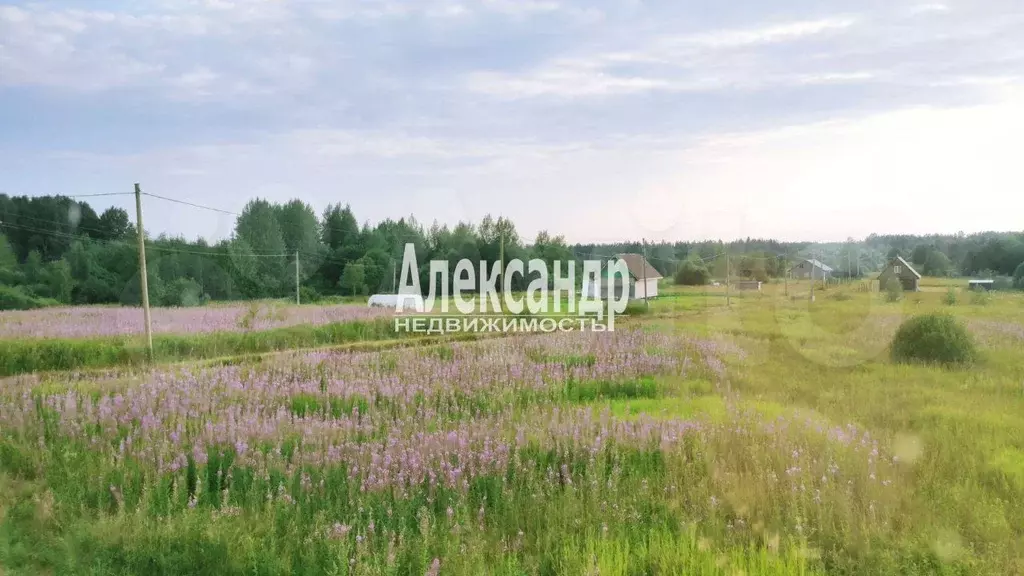 Дом 83,6 м на участке 16,8 сот. - Фото 1