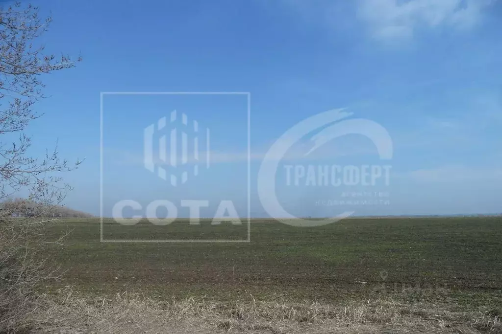 Участок в Воронежская область, Новоусманский район, с. Рогачевка  ... - Фото 2