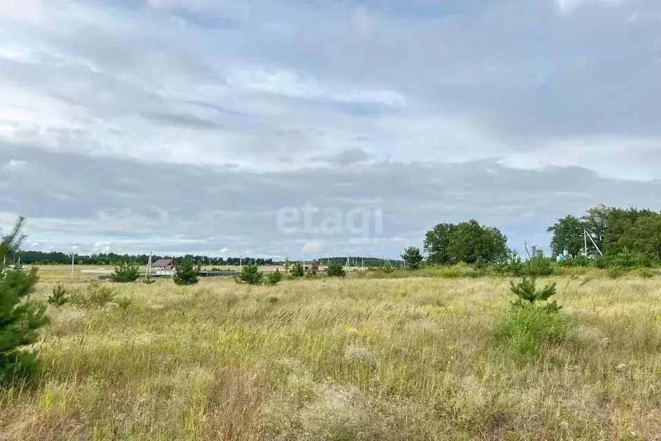 Участок в Белгородская область, Белгородский район, с. Стрелецкое пер. ... - Фото 0