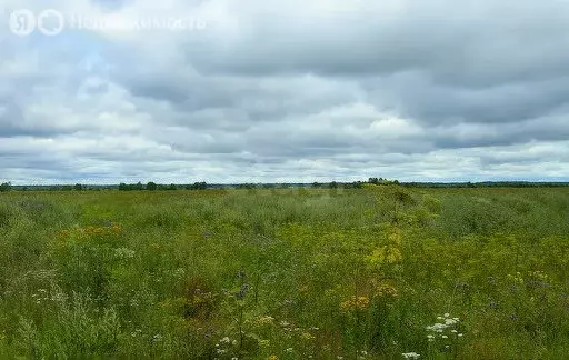 Участок в Опольевское сельское поселение, коттеджный посёлок Валья ... - Фото 1