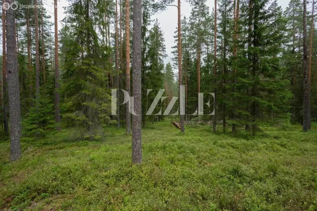 Участок в посёлок Ильичёво, Линтульская аллея (70 м) - Фото 2