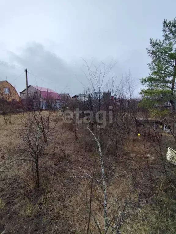 Участок в Воронежская область, Воронеж Домостроитель-1 СНТ, 11-37 (6.0 ... - Фото 1