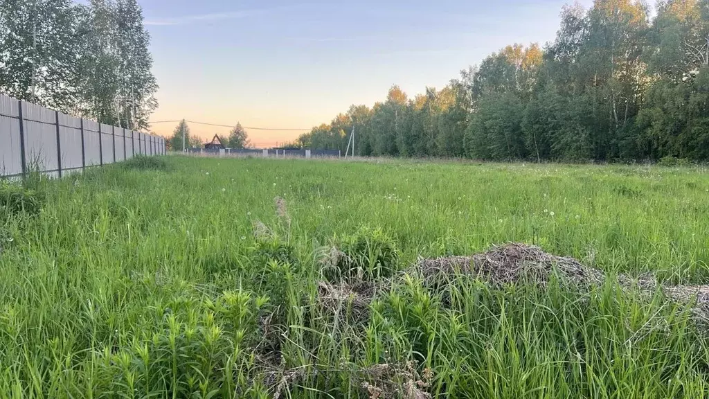 Участок в Нижегородская область, Нижний Новгород д. Зименки, ул. ... - Фото 1