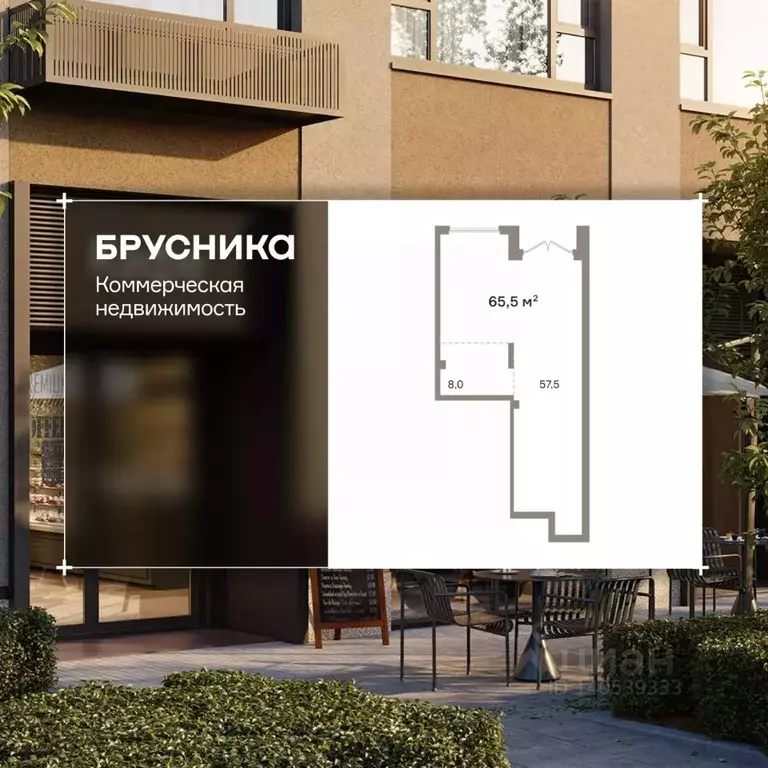 Помещение свободного назначения в Новосибирская область, Новосибирск ... - Фото 1