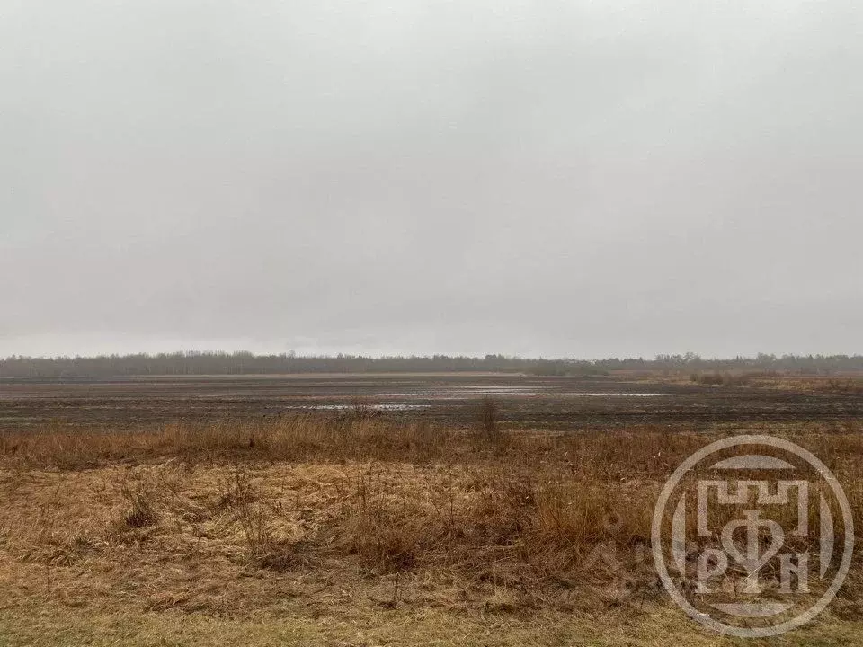 Участок в Ленинградская область, Волховский район, Свирицкое с/пос, ... - Фото 2