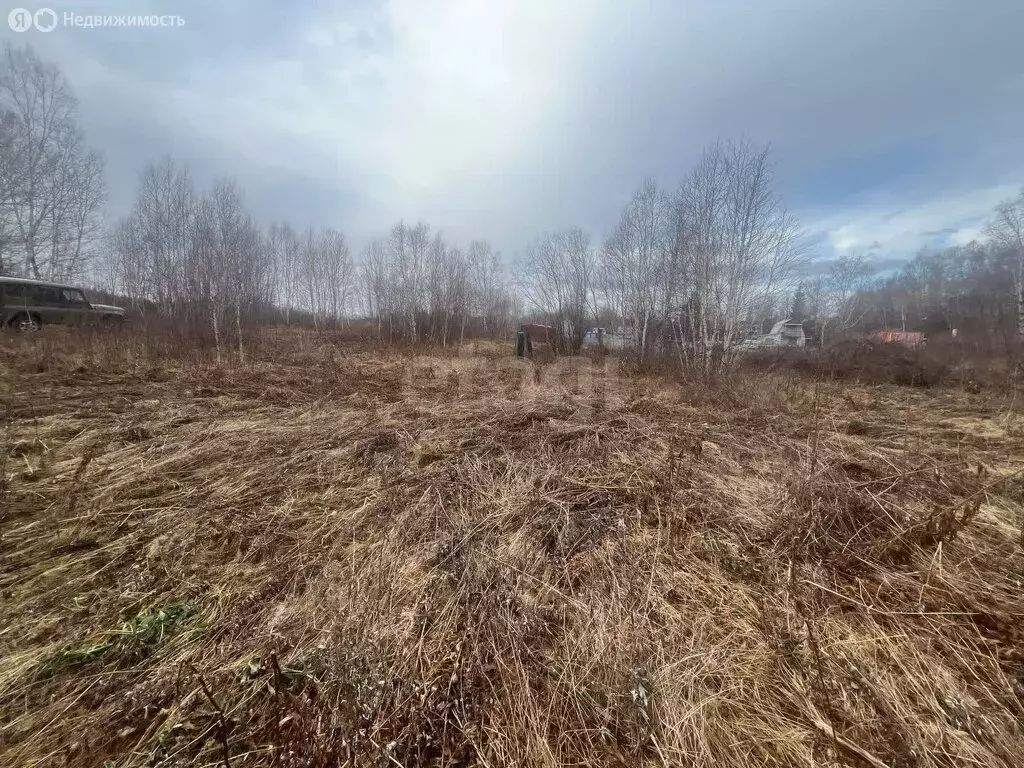 Участок в Камчатский край, Елизовский муниципальный округ, СНТ Радуга ... - Фото 2
