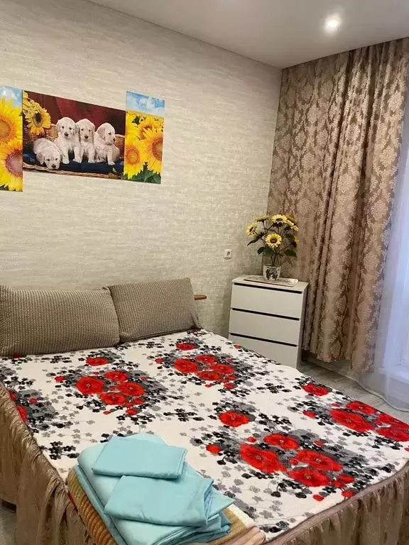 Студия Челябинская область, Миасс ул. Романенко, 4 (28.0 м) - Фото 1