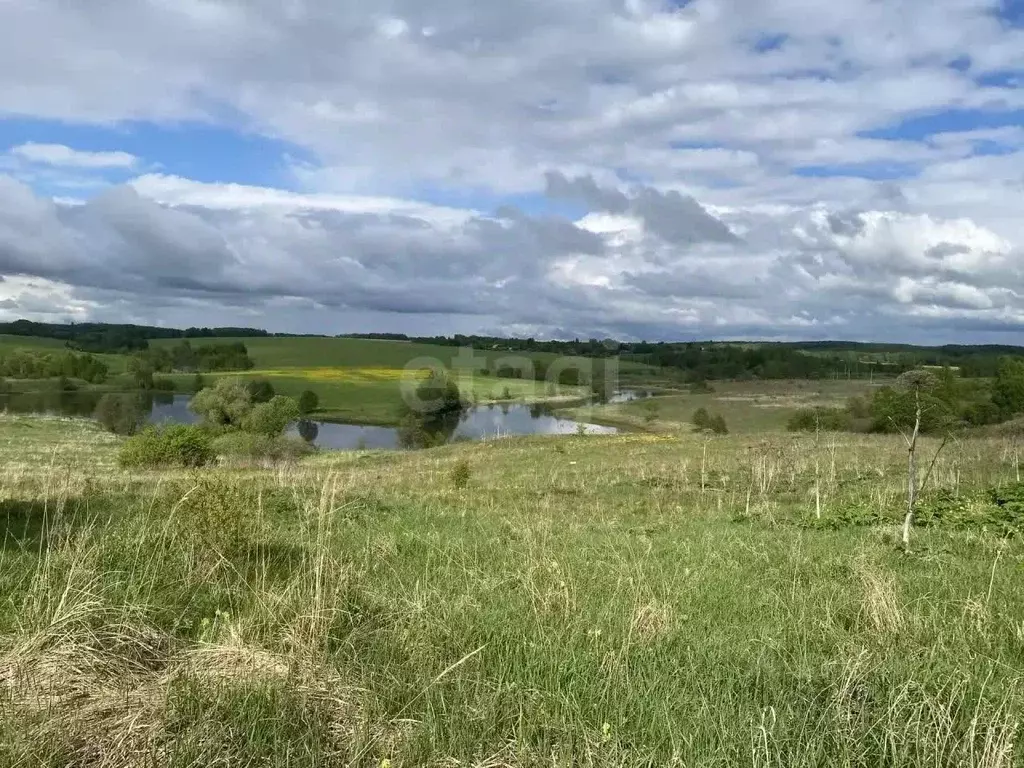 Участок в Калужская область, Малоярославецкий муниципальный округ, с. ... - Фото 2
